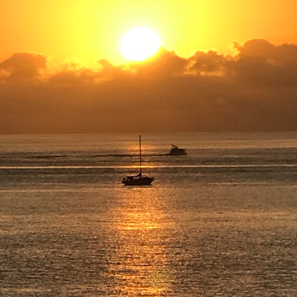 Meet your Posher, Jo